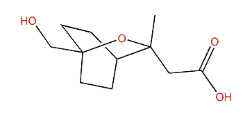 7-Hydroxy-9-cineolic acid